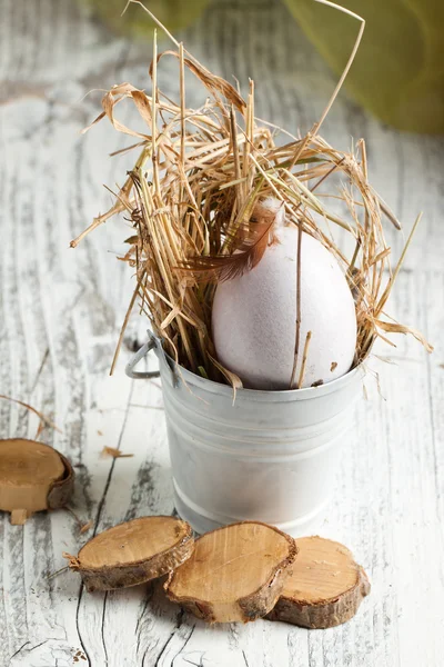 White egg — Stock Photo, Image