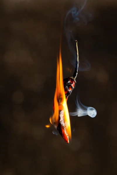 Chili pepper on fire — Stock Photo, Image