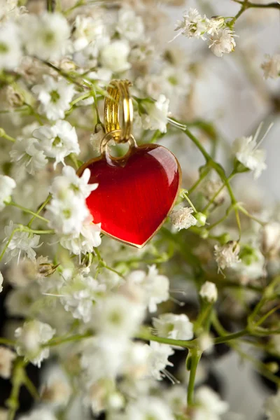 Hjärta och blommor — Stockfoto