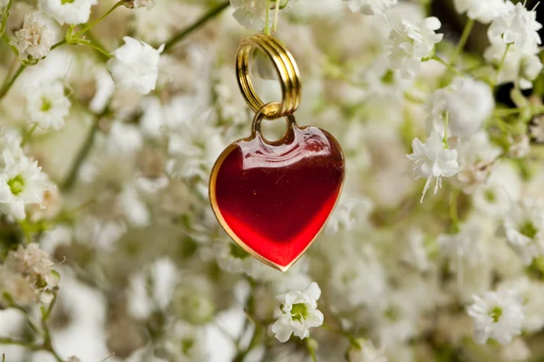 Heart and flowers — Stock Photo, Image