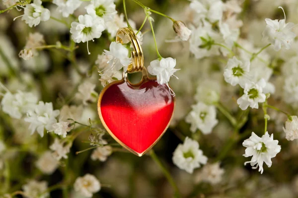 Heart and flowers — Stock Photo, Image