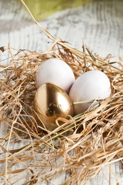Easter eggs in nest Stock Photo
