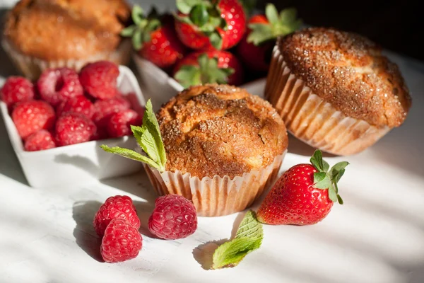 Muffins mit Beeren — Stockfoto