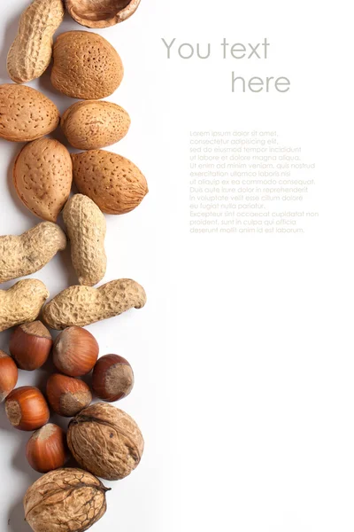 çeşitli fındık, badem, fındık, fıstık ve ceviz