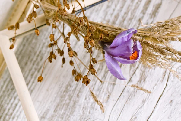Μωβ λουλούδι κρόκος σε ξηρό στεφάνι — Φωτογραφία Αρχείου