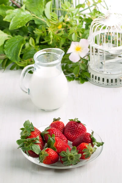 taze çilek ile plaka