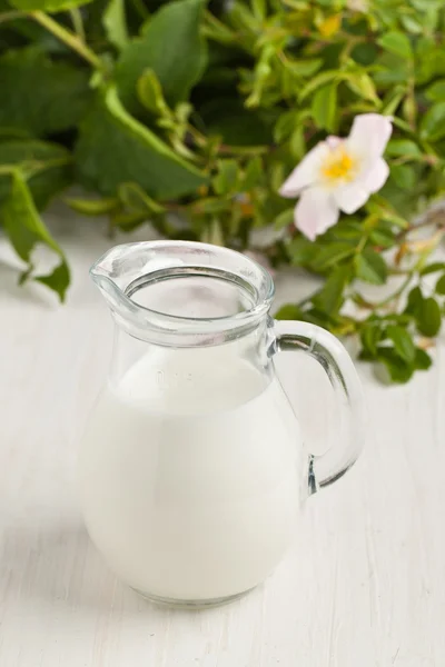 Krug Milch — Stockfoto