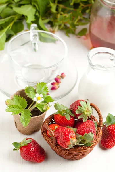 Basket of fresh strawberries and milk — Stock Photo, Image