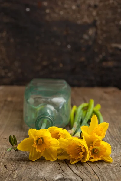 Bouquet of Yellow daffodils — Stock Photo, Image