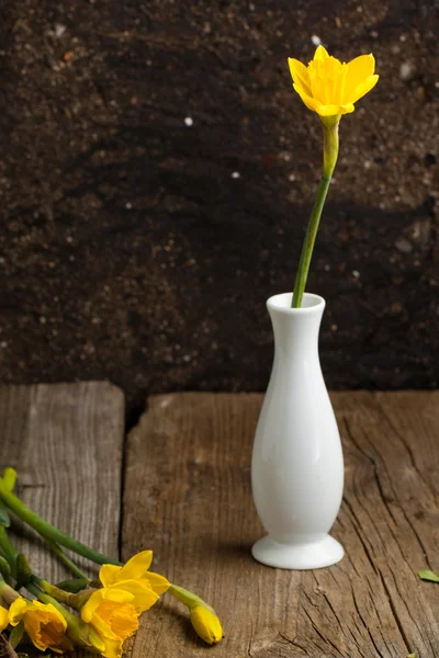 Yellow daffodil in vase — Stock Photo, Image