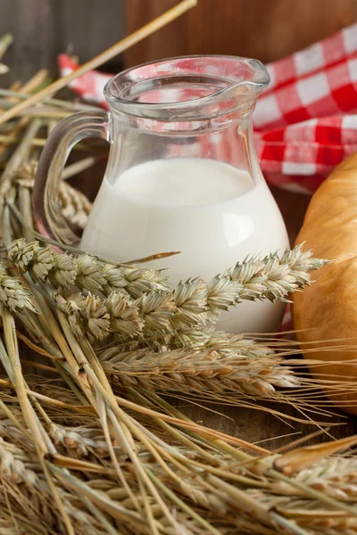 Torkade öron av majs med mjölk — Stockfoto