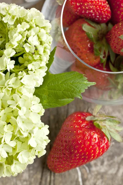 Strawberries and flowers — Stock Photo, Image