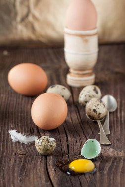 sızan sarısı ve tavuk yumurtası ile kırık Bıldırcın yumurta