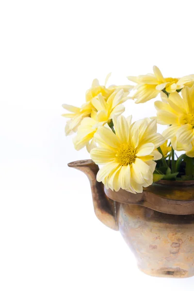 Yellow flowers in old teapot — Stock Photo, Image