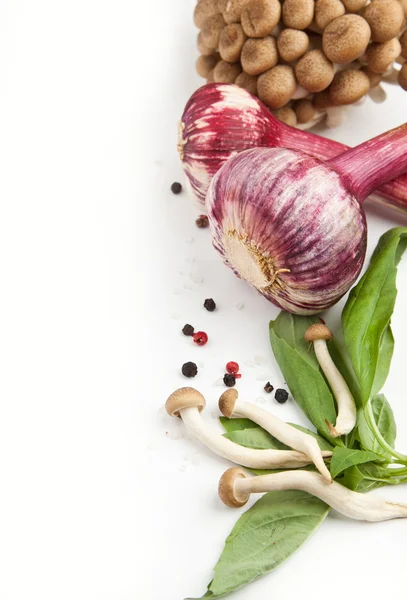 Champiñones y verduras — Foto de Stock