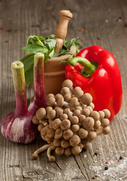 Cogumelos e produtos hortícolas — Fotografia de Stock