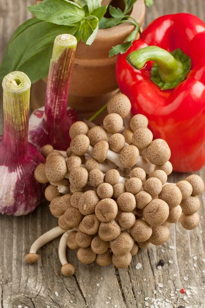 Cogumelos e produtos hortícolas — Fotografia de Stock