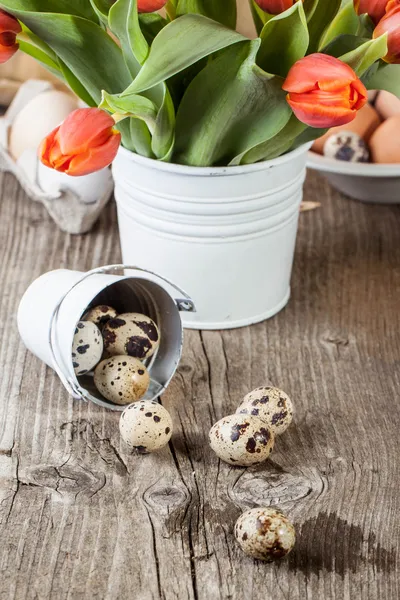 Quail eggs and bouquet of red tulips — Stock Photo, Image