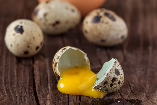 Huevo de codorniz roto con la yema filtrada — Foto de Stock