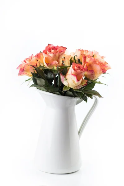 Orange roses in white jug isolated — Stock Photo, Image