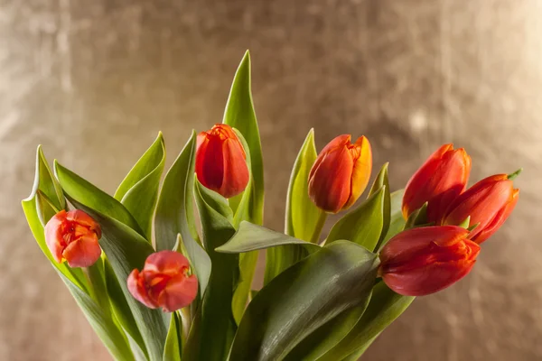 Tulipas vermelhas em fundo dourado — Fotografia de Stock