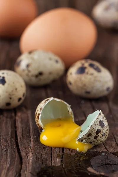 Œuf de caille cassé et poulet un avec le jaune d'oeuf qui fuit — Photo