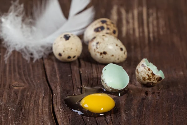 Broken quail egg with the leaked yolk — Stock Photo, Image