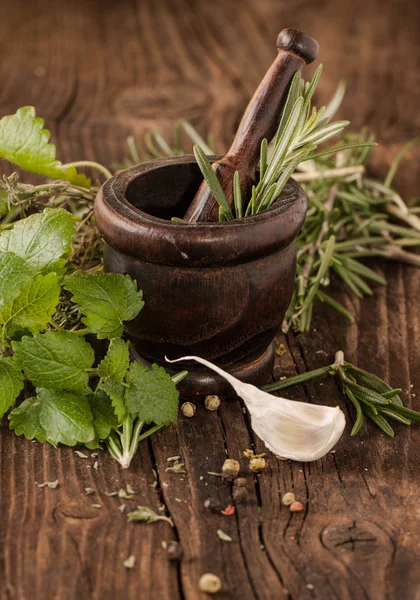 Garlic and herbs in mortar — Stock Photo, Image