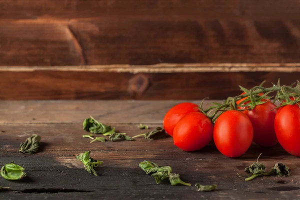 Ervas e tomates — Fotografia de Stock