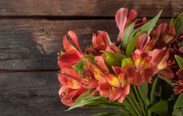 Bouquet of beautiful red lily — Stock Photo, Image
