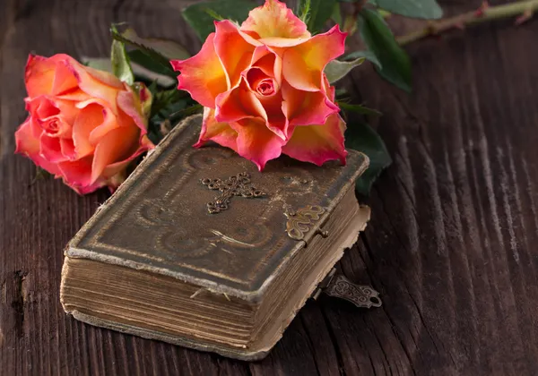 Orangen Rosen mit Schokolade — Stockfoto