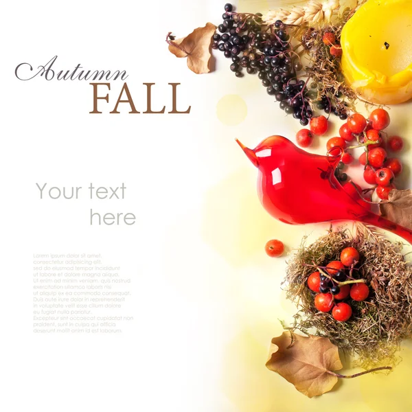 Autumn card with bird — Stock Photo, Image