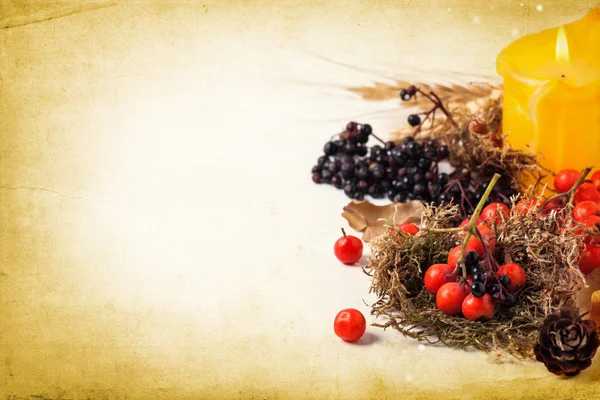 Tarjeta de otoño con bayas —  Fotos de Stock