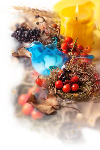 Autumn composition with blue bird — Stock Photo, Image