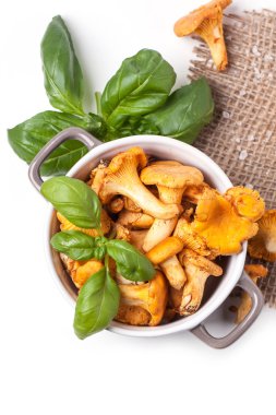 mantar chanterelles pot