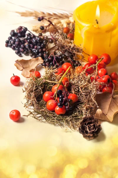 果実と秋のカード — ストック写真