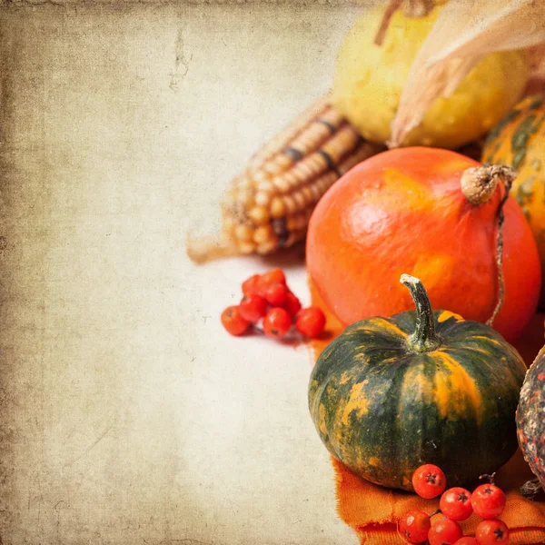 Autumn mini pumpkins — Stock Photo, Image