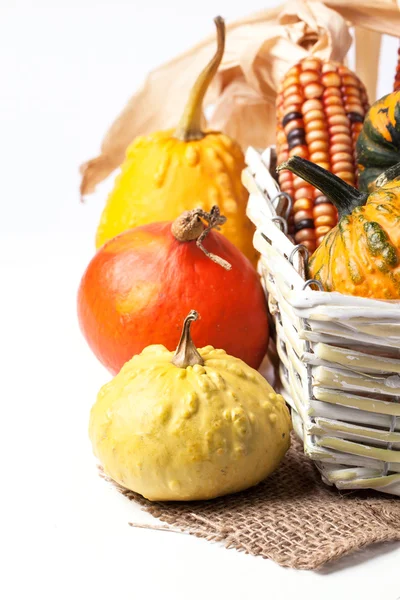 Autumn mini pumpkins — Stock Photo, Image