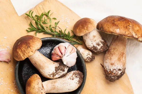 Steinpilze mit Knoblauch — Stockfoto