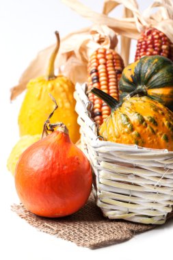 sonbahar mini kabaklar