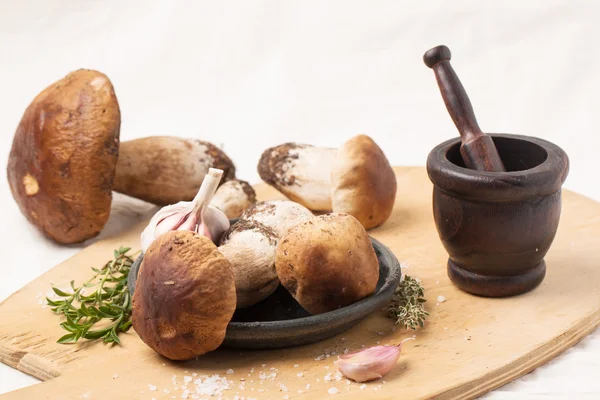 Cep mushrooms with vintage mortar — Stock Photo, Image