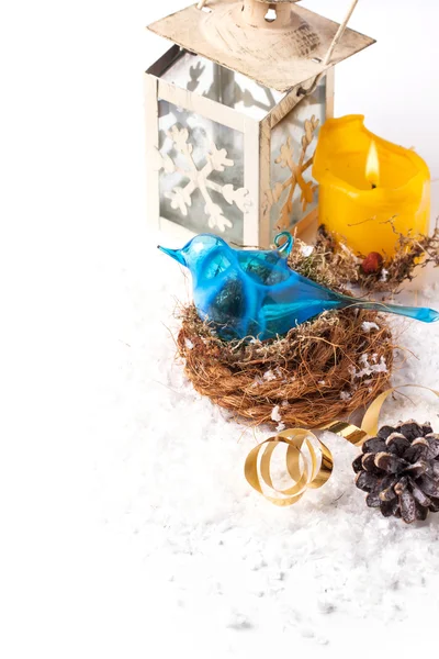 Tarjeta de Navidad con pájaro azul — Foto de Stock