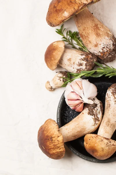 Cep mushrooms — Stock Photo, Image