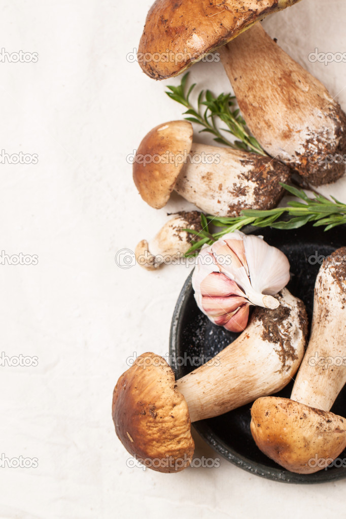 cep mushrooms