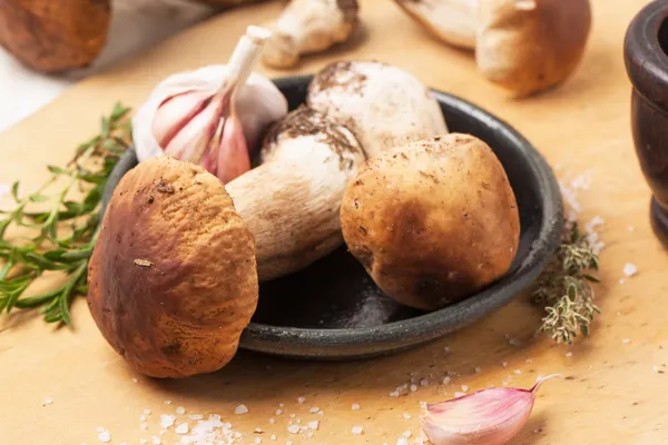 Cep mushrooms — Stock Photo, Image