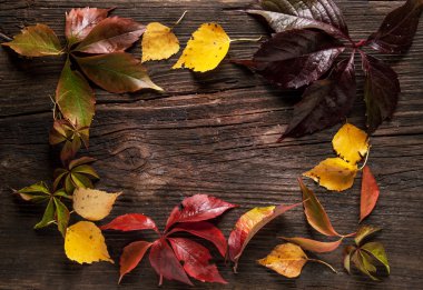 süsleme yatılı sonbahar yaprakları