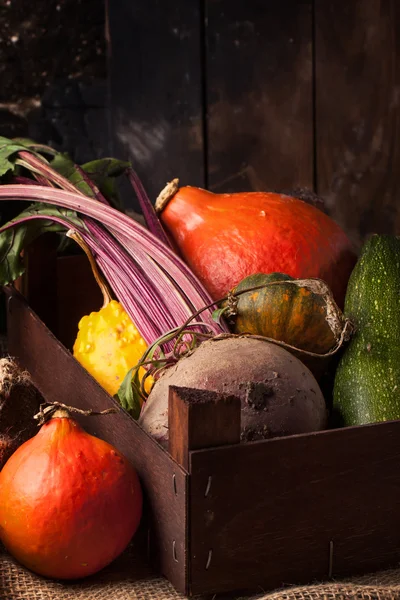 Pompoenen en suikerbieten — Stockfoto