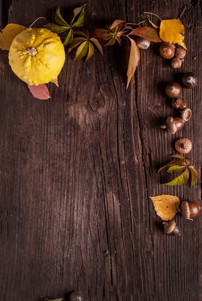 Ornament mit Kürbis und Herbstblättern — Stockfoto