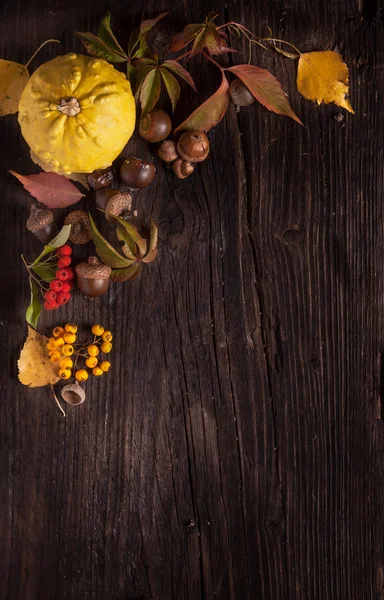 Ornament mit Kürbis und Herbstblättern — Stockfoto