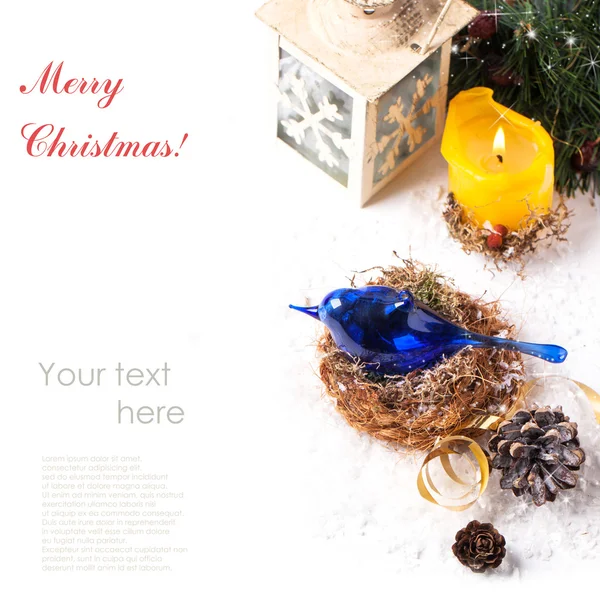 Vánoční přání s modrým ptákem — Stock fotografie